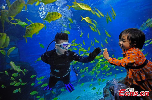 Sleep with fish at Tianjin aquarium