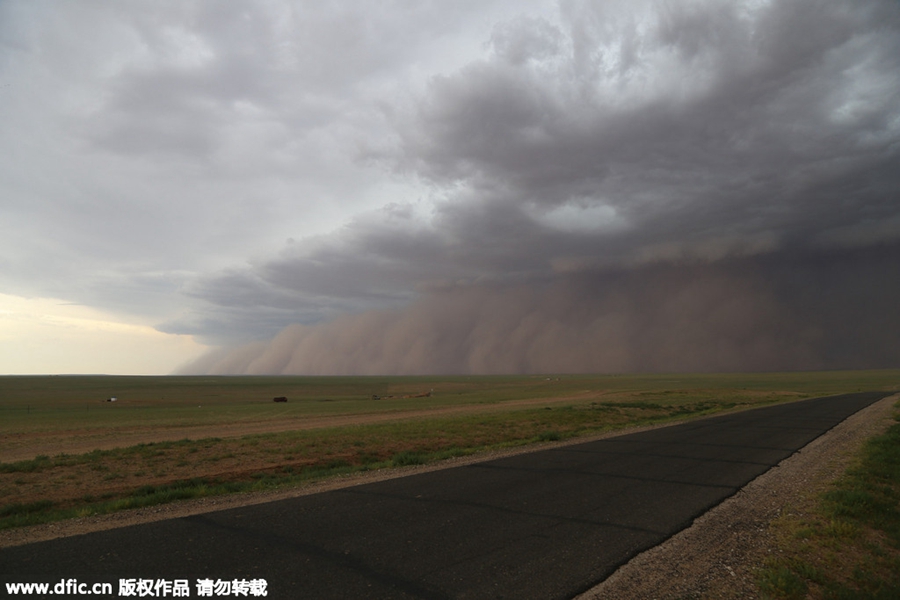 Sandstorm hits grassland festivity