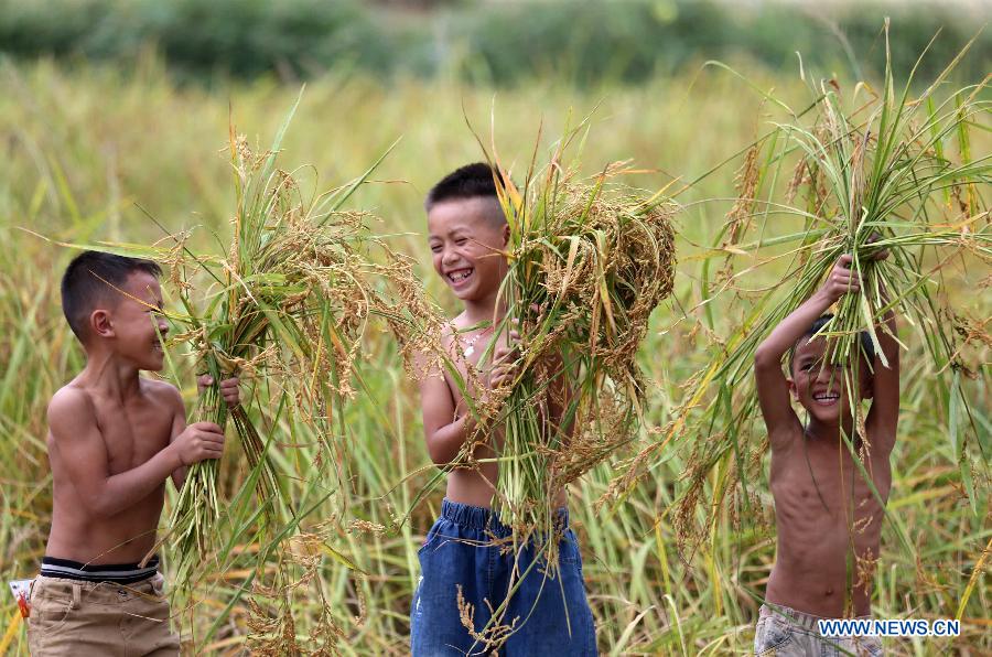 Autumn scenery in S China's Guangxi