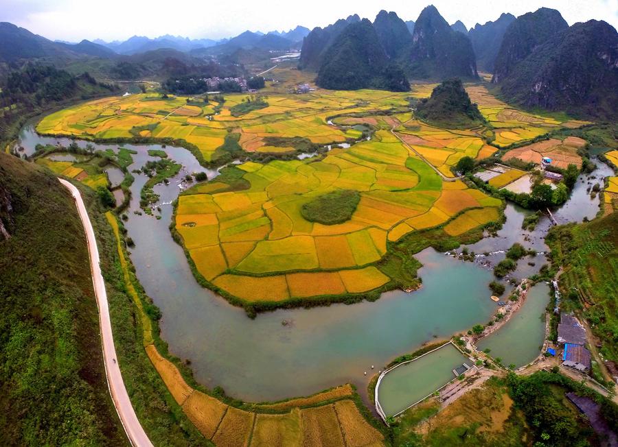 Autumn scenery in S China's Guangxi