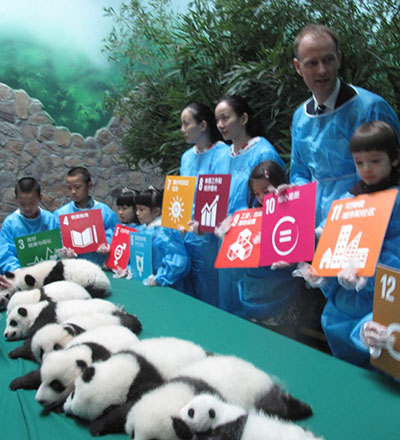 Un-bear-ably cute panda cubs meet fans in Sichuan