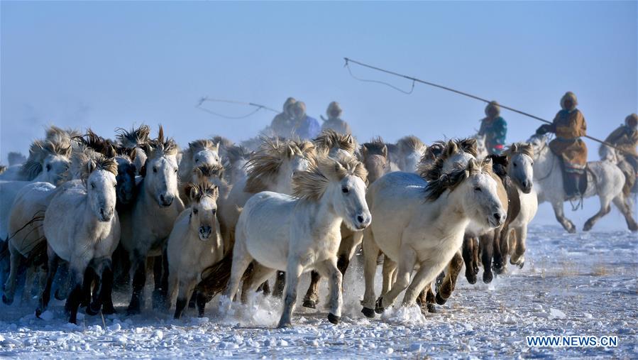 Horse folk cultural festival kicks off in N China's Inner Mongolia