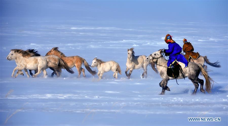 Horse folk cultural festival kicks off in N China's Inner Mongolia