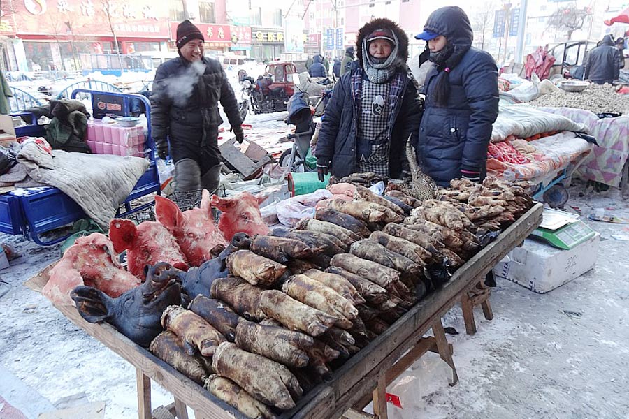 Photos show how Spring Festival is celebrated in Northeast China