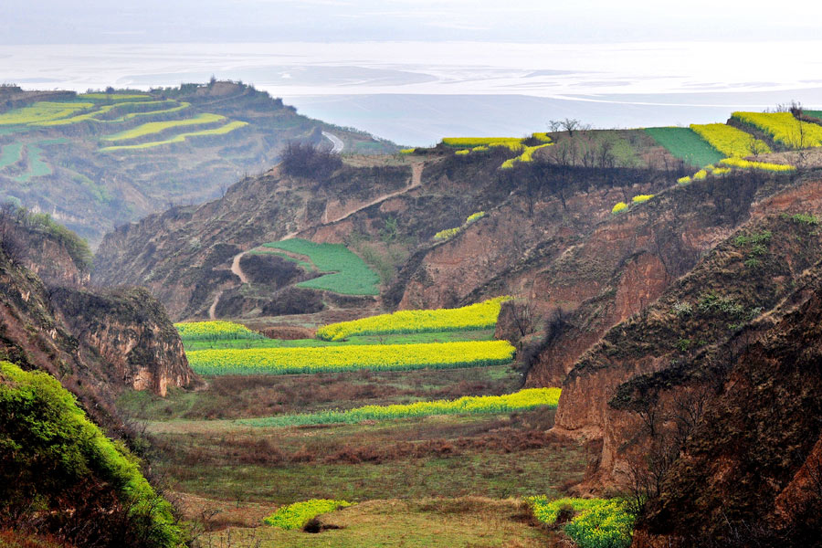 Discover beautiful China in spring blossom (Ⅲ)