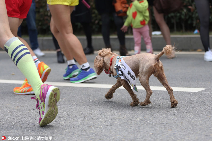 Ten photos from around China: April 9 - 15