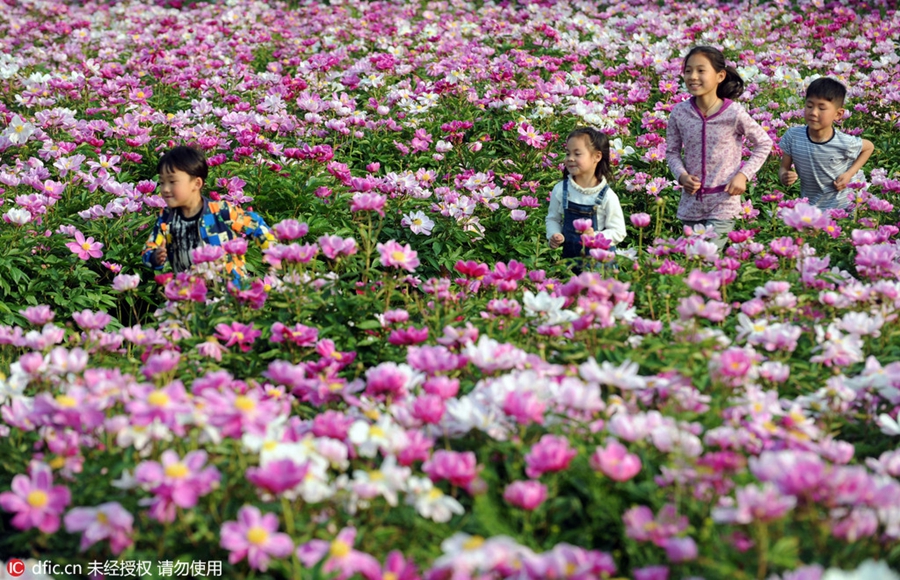 May Day tourism spikes at China's tourist spots