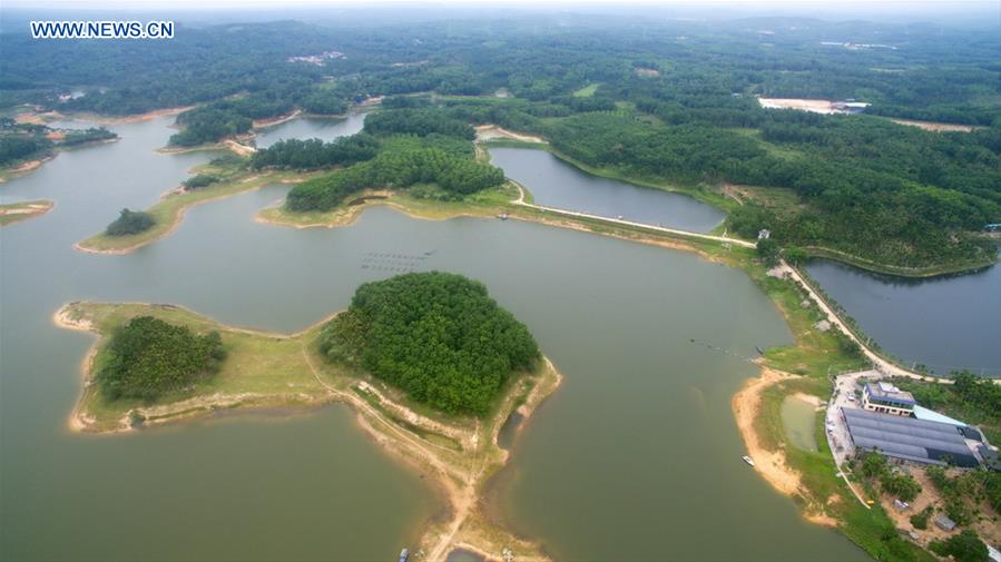 Hot weather, less rainfall trigger drought in China's Hainan