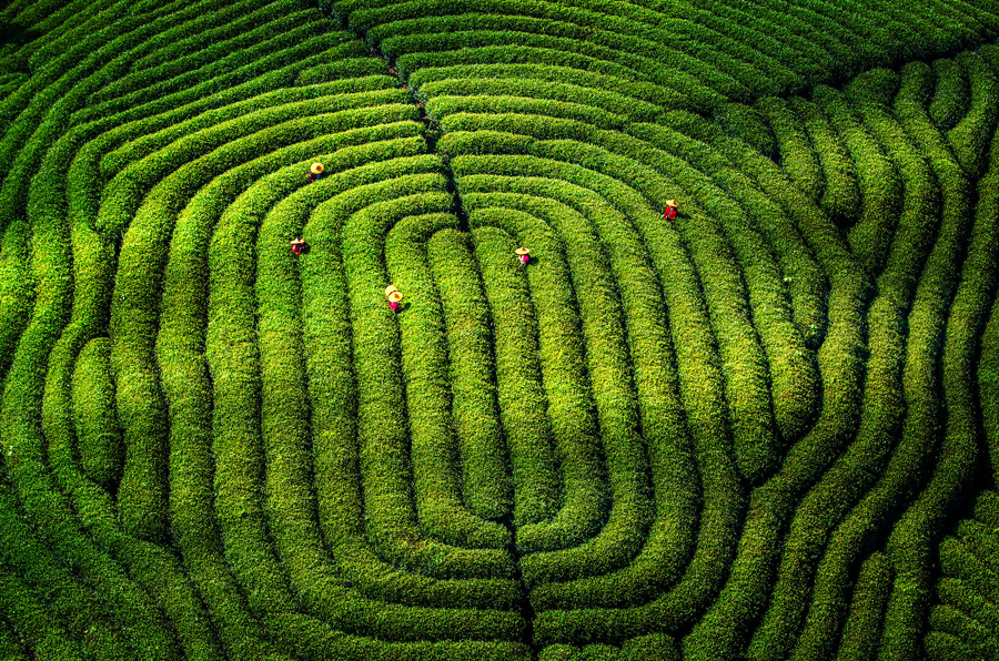 New photo series captures life in China