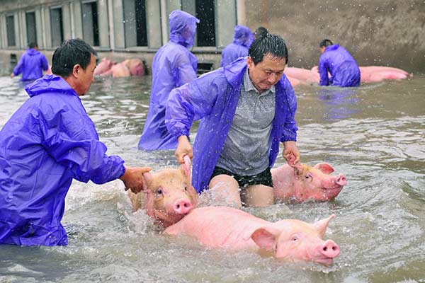 Dramatic stories during China's floods