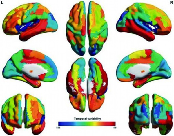 Chinese university maps out brain functional network