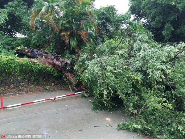 Guangdong and neighboring areas brace for Typhoon Nida