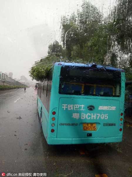 Guangdong and neighboring areas brace for Typhoon Nida