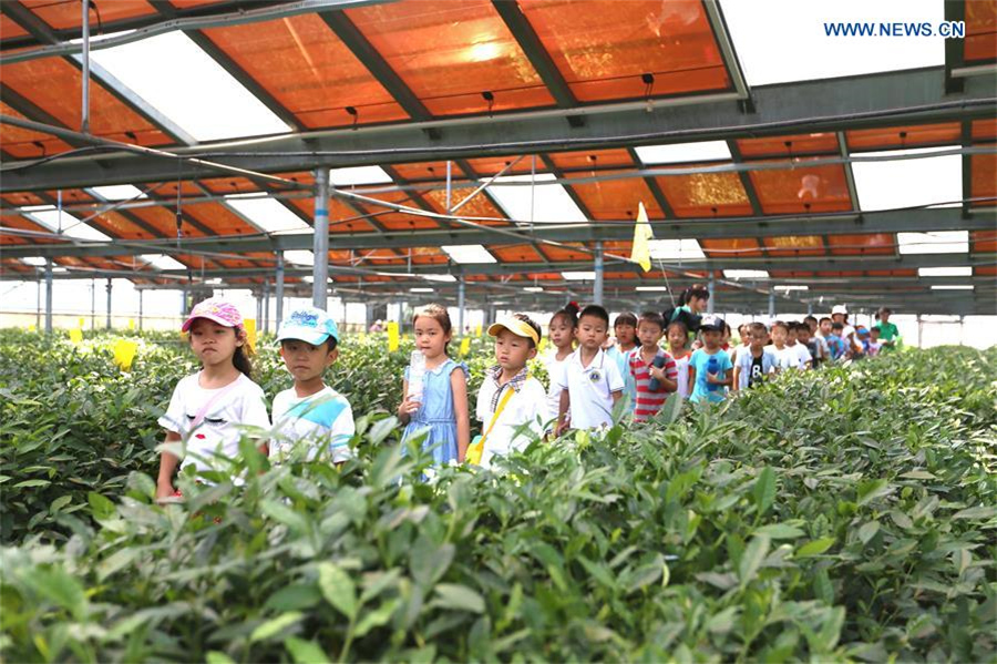 Primary school students given class at agricultural demonstration base