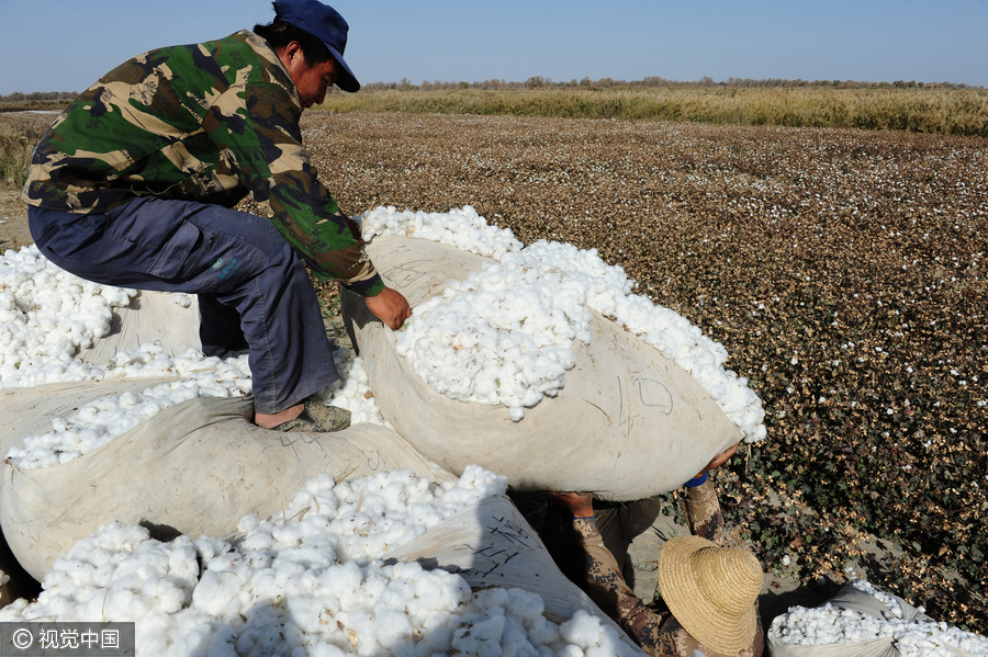 400,000 migrant workers flock to Xinjiang to harvest cotton