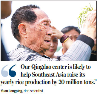 Seawater rice expected to boost grain harvest in 5 years