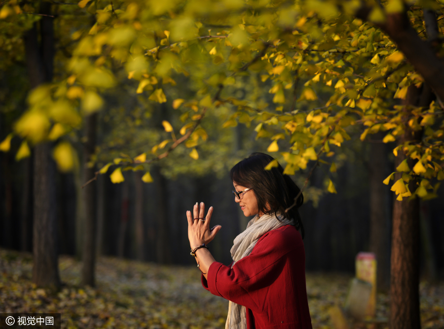 Yoga among the gingko trees