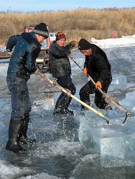 Cutting ice for a festival of sculpture