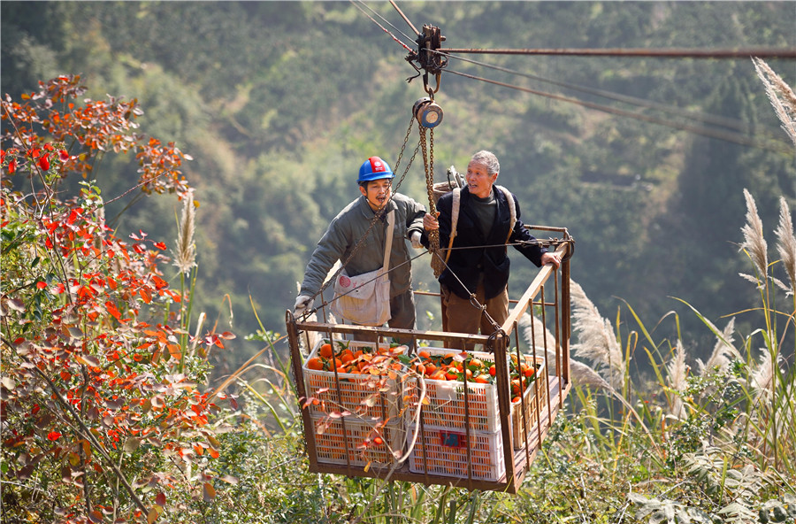 Cableway brings hope to orange farmers