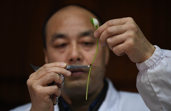 Master surgeon practises on grapes