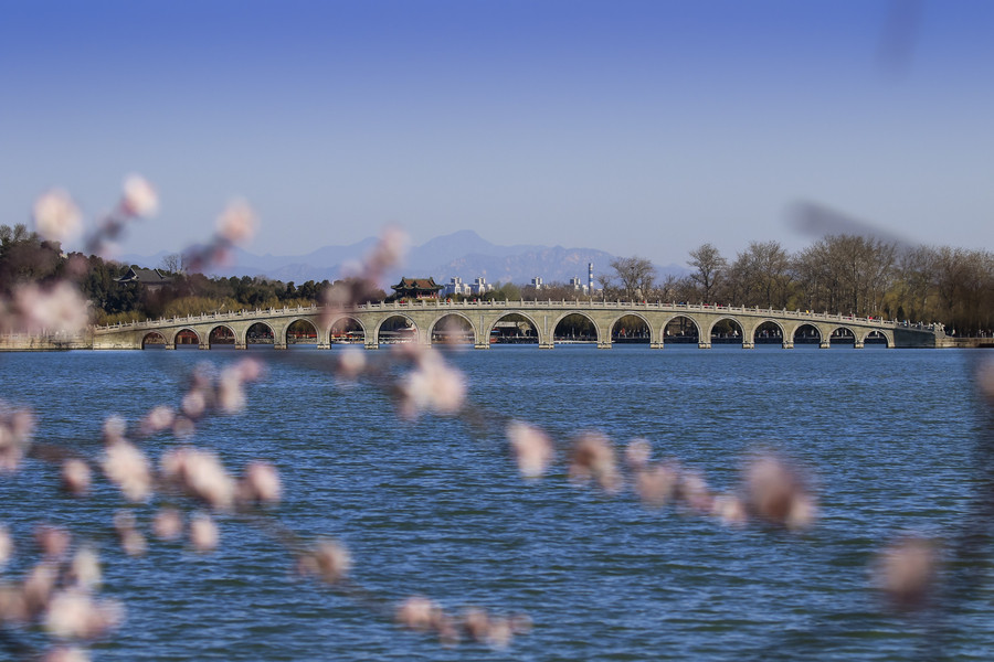 Beijing in bloom: A sea of flowers in spring