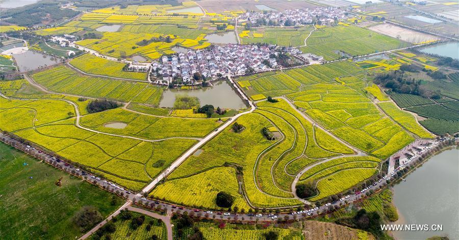 Spring scenery across China