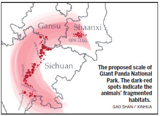 National park to drive revival of wild pandas