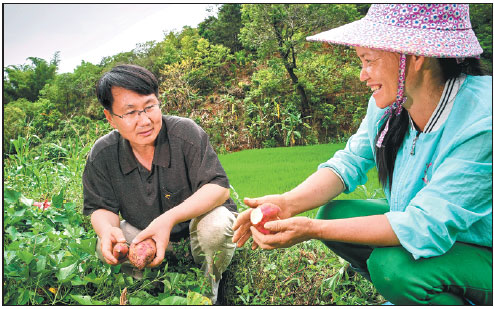 Harvest gives graduate a taste of the good life