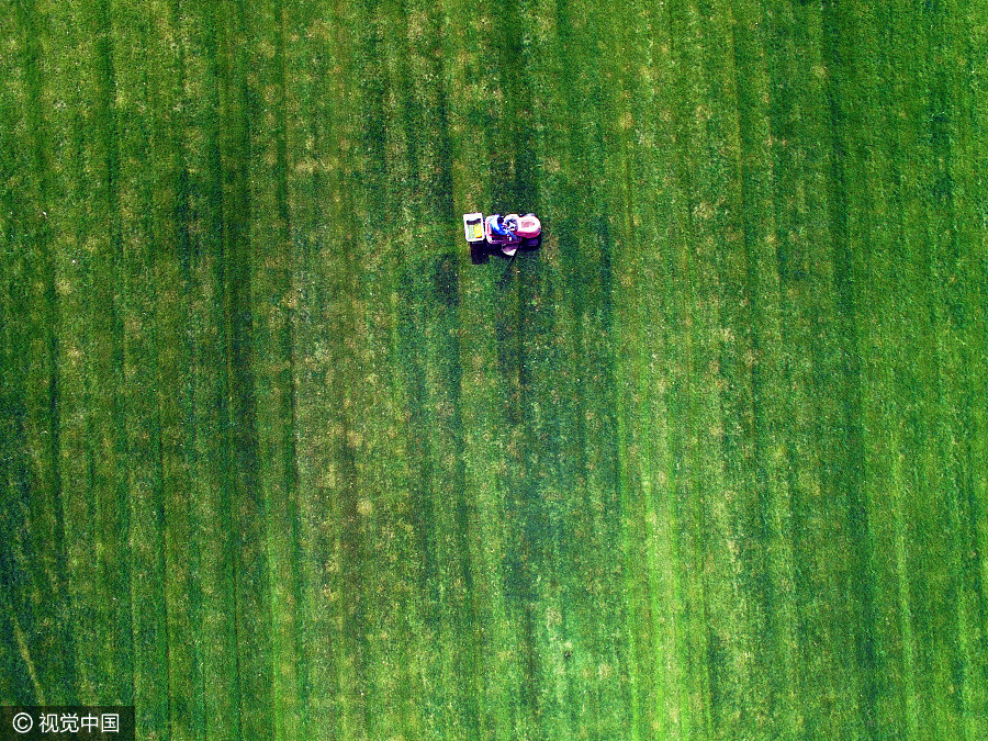 Ten photos from across China: April 14-20