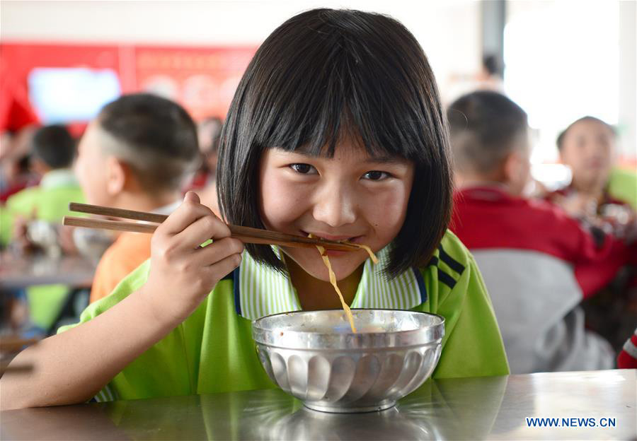 Nutrition improvement projects in NW China benefit 2.3 m students