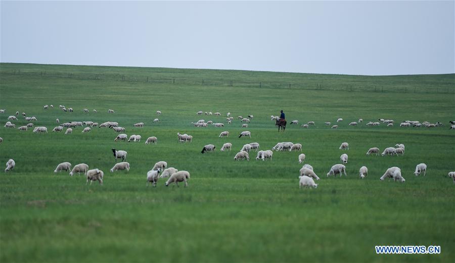 A glance at Inner Mongolia's better ecosystem