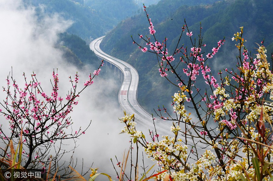 Experience beauty of autumn along the roads