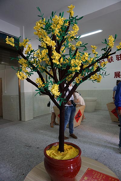 Left-behind women masters of their own careers in Hunan