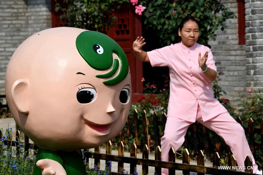 Central China tai chi training centers attract hundreds of followers