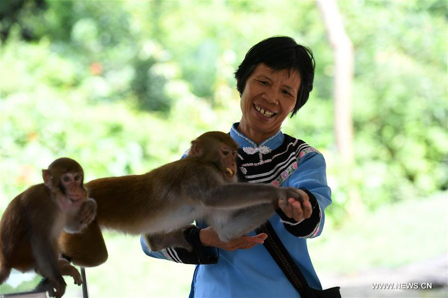 'Monkey mother' Pan Huifen