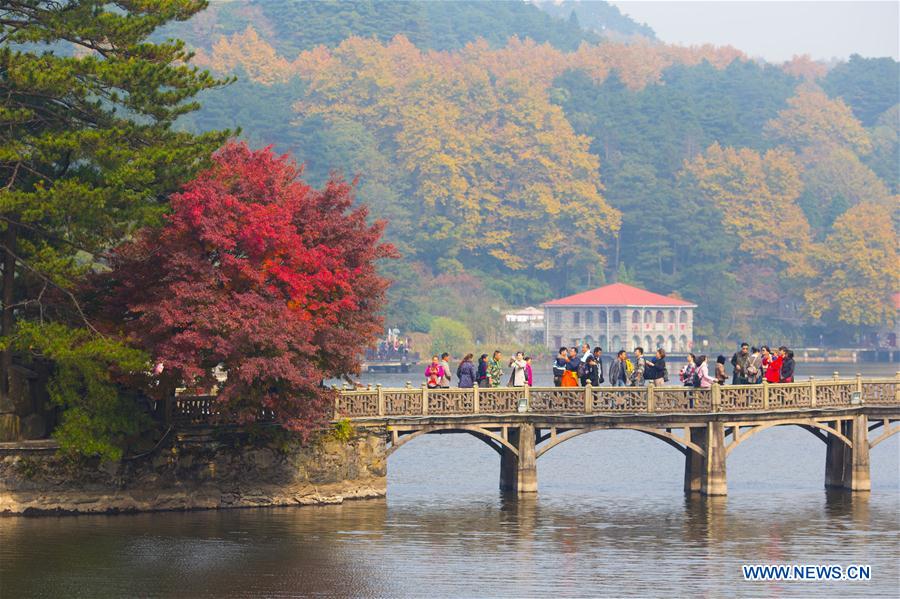 Red leaves of Lushan Mountain attract tourists