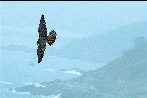 In Dalian, all eyes are on the sky