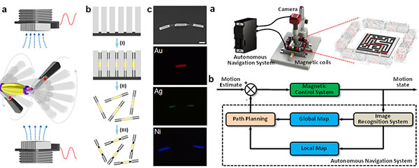 Chinese scientists create new type of magnetic nanorobot