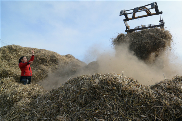 Smog in North China to spike on Tuesday