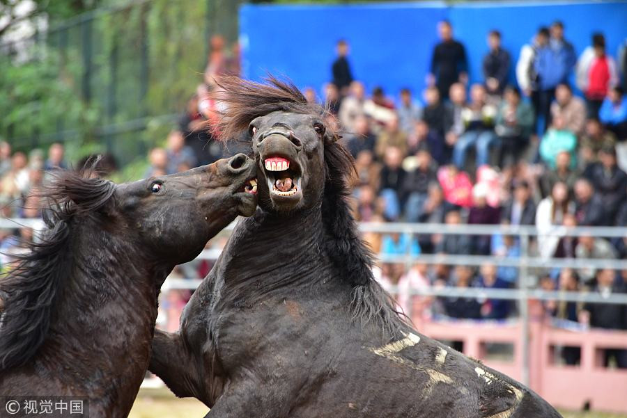 Ten photos from across China: Nov 17-23