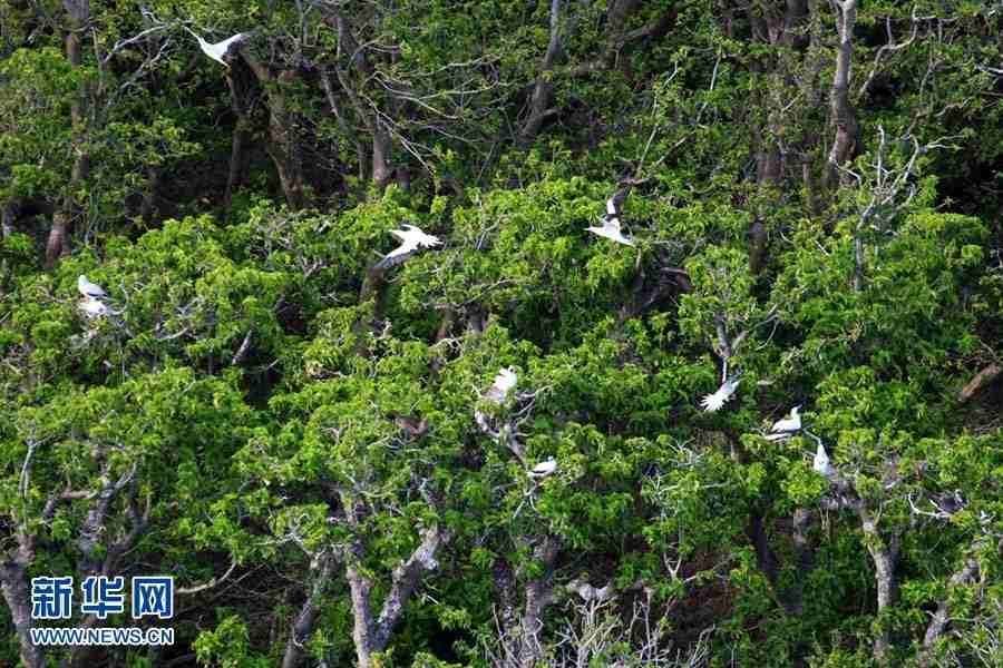 Amazing aerial photos of China's Xisha Islands