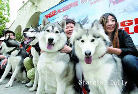 Eight Below hits Shanghai