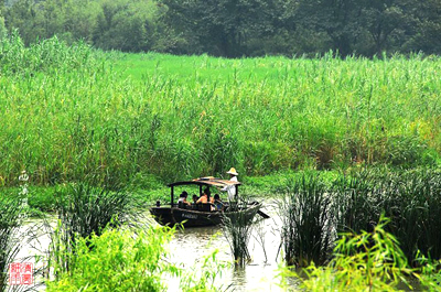 Xixi National Wetland Park