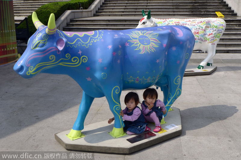 Artistic cow sculptures decorate Shanghai