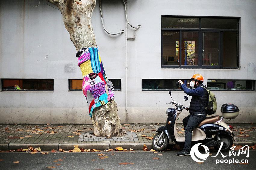 Trees in Shanghai 'wear' sweaters for the winter