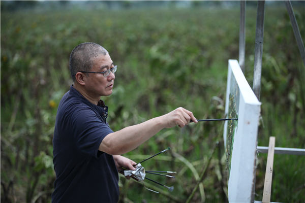 Xu Jiang's largest show of sunflower works in Shanghai