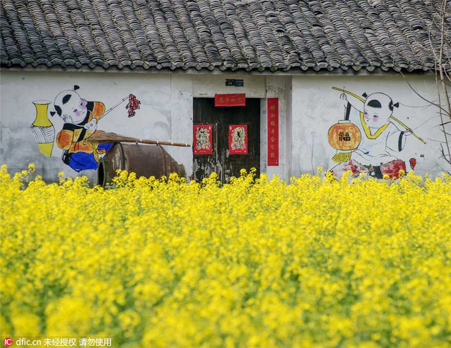 New Year paintings decorate cottage walls in spring