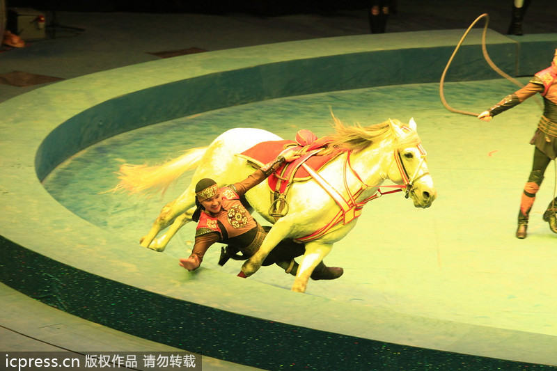 Massive circus comes to town in Zhuhai