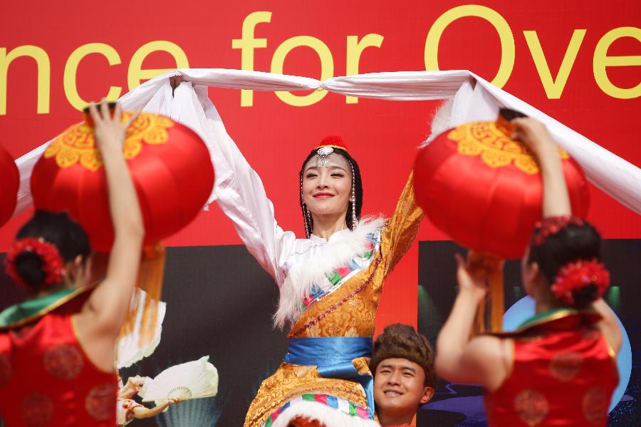 Art performance for overseas Chinese held in India