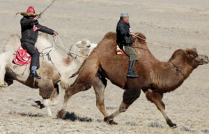 Winter Naadam festival opens in Inner Mongolia